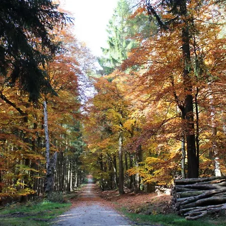 Semesterbostad Ole Schuen Dannau *