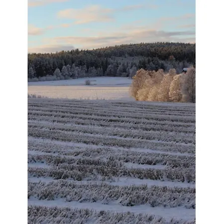 Ole Schuen Dannau Semesterbostad *
