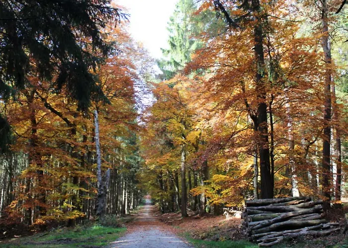 Semesterbostad Ole Schuen Dannau *