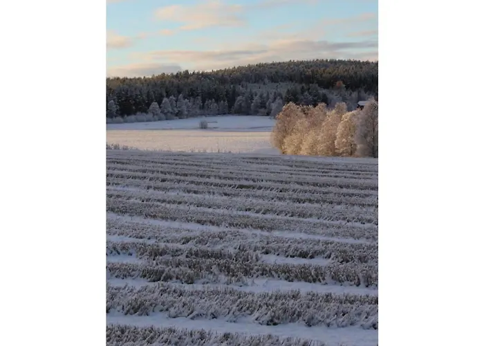 Ole Schuen Dannau Semesterbostad *